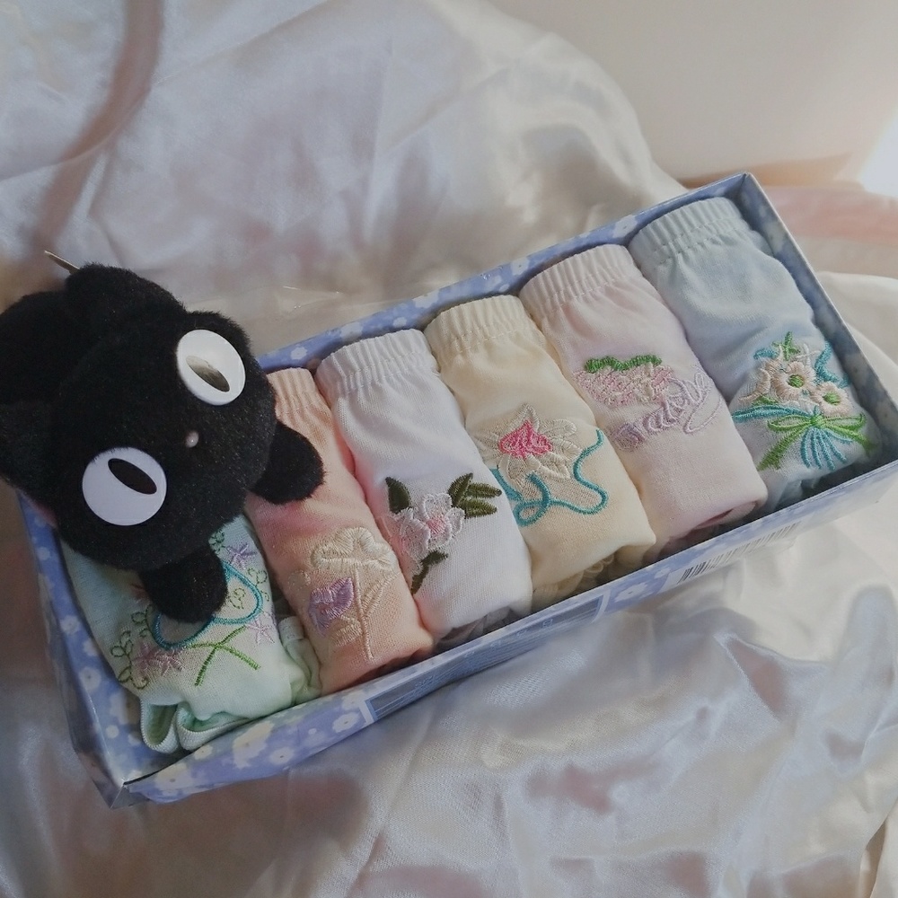 Pastel vintage cute underwear 6 pack